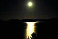 Image of water and trees lit by moon